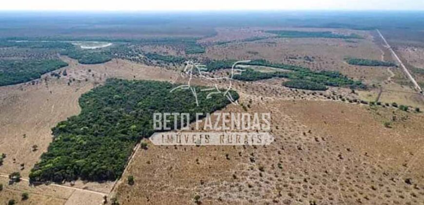 Mega Fazenda à Venda 100.532 Hectares Lavoura, Pecuária e Pista e Pouso | Cocalinho/ MT