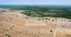 Mega Fazenda à Venda 100.532 Hectares Lavoura, Pecuária e Pista e Pouso | Cocalinho/ MT