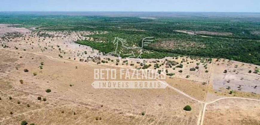 Mega Fazenda à Venda 100.532 Hectares Lavoura, Pecuária e Pista e Pouso | Cocalinho/ MT