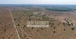 Mega Fazenda à Venda 100.532 Hectares Lavoura, Pecuária e Pista e Pouso | Cocalinho/ MT