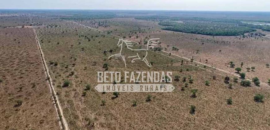 Mega Fazenda à Venda 100.532 Hectares Lavoura, Pecuária e Pista e Pouso | Cocalinho/ MT