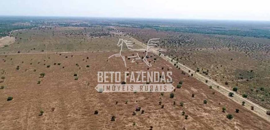 Mega Fazenda à Venda 100.532 Hectares Lavoura, Pecuária e Pista e Pouso | Cocalinho/ MT