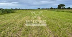 Mega Fazenda à Venda 100.532 Hectares Lavoura, Pecuária e Pista e Pouso | Cocalinho/ MT