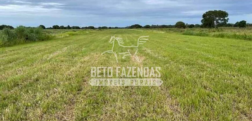 Mega Fazenda à Venda 100.532 Hectares Lavoura, Pecuária e Pista e Pouso | Cocalinho/ MT