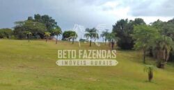 Fazenda Cinematográfica à Venda 2.662 has com Cinema, 20 Suítes e Muito Mais | Botucatu/SP