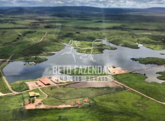 Fazenda Gigante no Pará 59.000 has Porteira Fechada | Cumaru do Norte/ PA