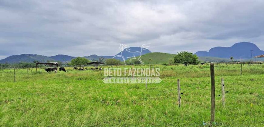 Rancho à venda 06 Alqs. Criação de Cavalos e outros Animais | Macabuzinho/RJ