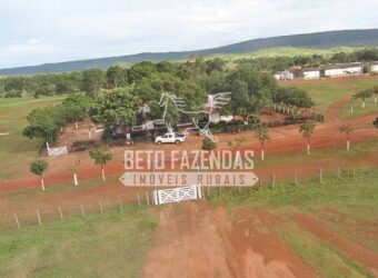 Fazenda à Venda 176.000 hectares Infraestrutura Completa | Aroazes/PI