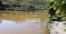 Fazenda à venda 42 alqueires Toda Pronta em Curato | Conceição de Macabu/ RJ