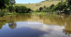 Fazenda à venda 42 alqueires Toda Pronta em Curato | Conceição de Macabu/ RJ