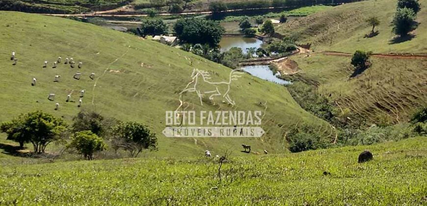 Fazenda à venda 42 alqueires Toda Pronta em Curato | Conceição de Macabu/ RJ