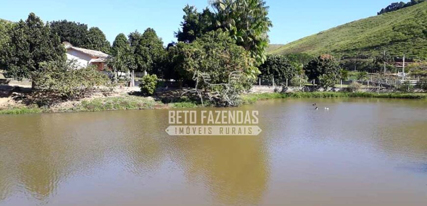 Fazenda à venda 42 alqueires Toda Pronta em Curato | Conceição de Macabu/ RJ