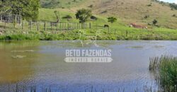 Fazenda à venda 42 alqueires Toda Pronta em Curato | Conceição de Macabu/ RJ