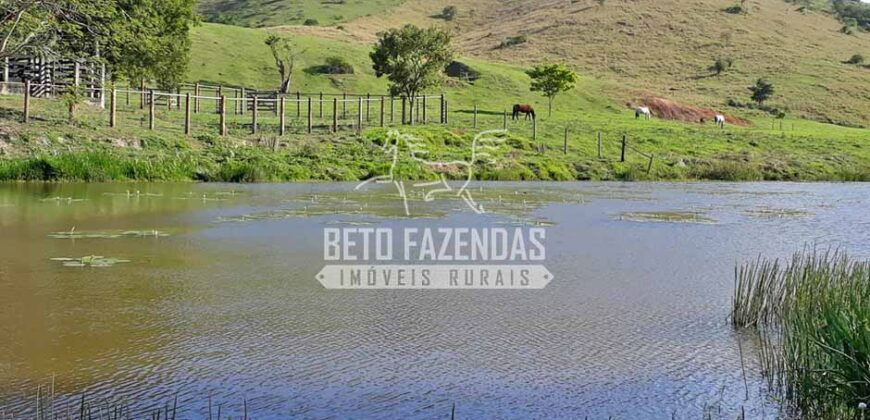 Fazenda à venda 42 alqueires Toda Pronta em Curato | Conceição de Macabu/ RJ