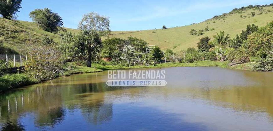 Fazenda à venda 42 alqueires Toda Pronta em Curato | Conceição de Macabu/ RJ