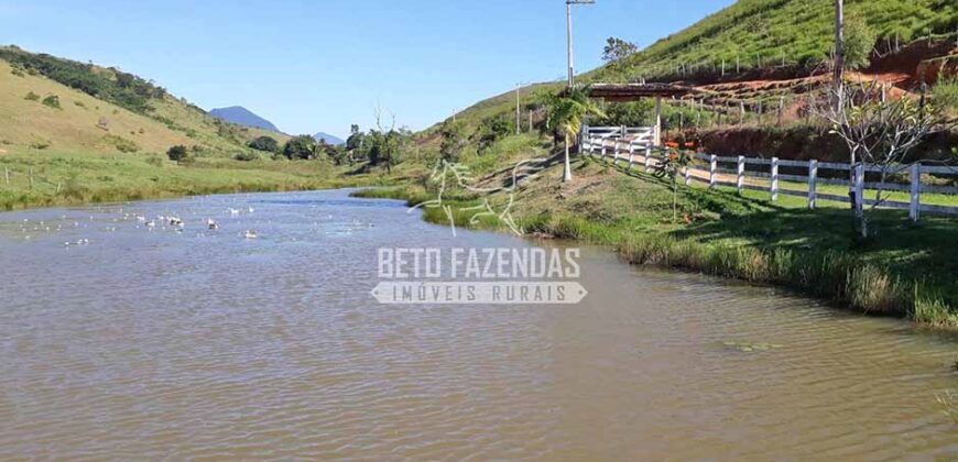 Fazenda à venda 42 alqueires Toda Pronta em Curato | Conceição de Macabu/ RJ