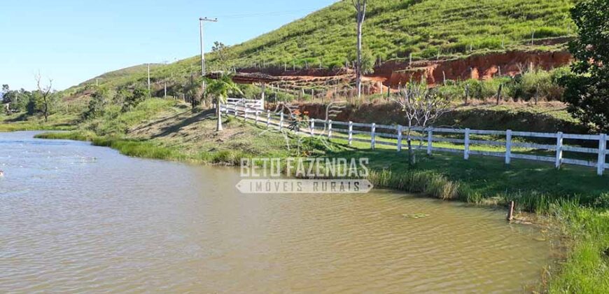 Fazenda à venda 42 alqueires Toda Pronta em Curato | Conceição de Macabu/ RJ