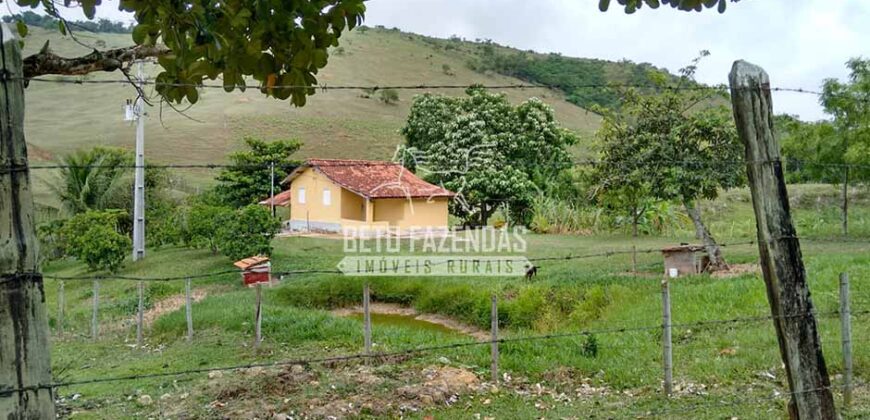 Fazenda à venda 42 alqueires Toda Pronta em Curato | Conceição de Macabu/ RJ