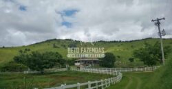 Fazenda à venda 42 alqueires Toda Pronta em Curato | Conceição de Macabu/ RJ