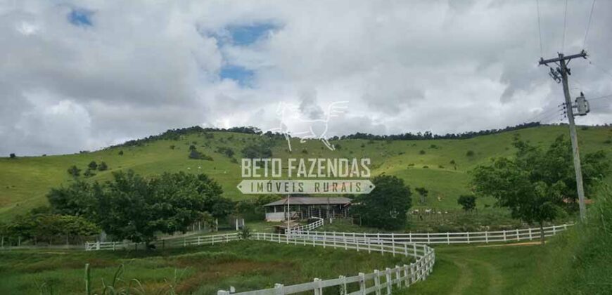 Fazenda à venda 42 alqueires Toda Pronta em Curato | Conceição de Macabu/ RJ