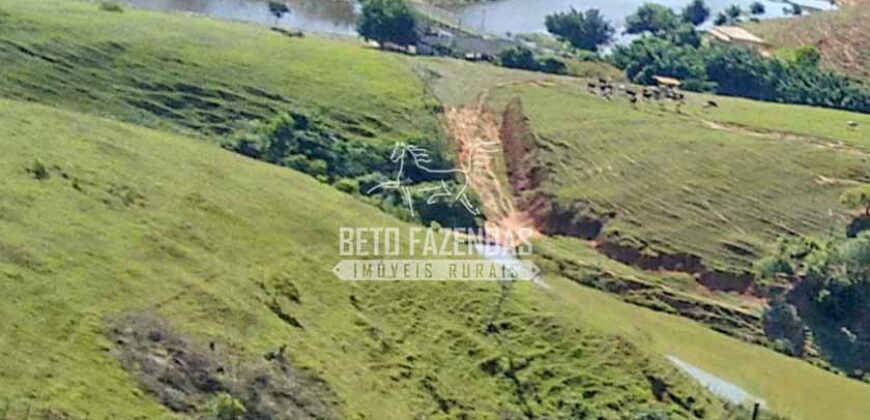 Fazenda à venda 42 alqueires Toda Pronta em Curato | Conceição de Macabu/ RJ