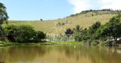 Fazenda à venda 42 alqueires Toda Pronta em Curato | Conceição de Macabu/ RJ