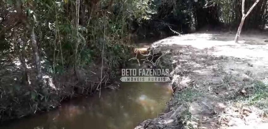 Fazenda à venda 42 alqueires Toda Pronta em Curato | Conceição de Macabu/ RJ