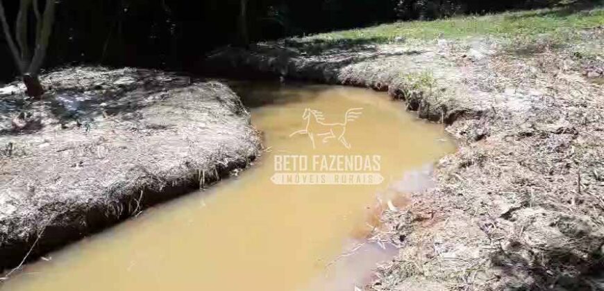 Fazenda à venda 42 alqueires Toda Pronta em Curato | Conceição de Macabu/ RJ