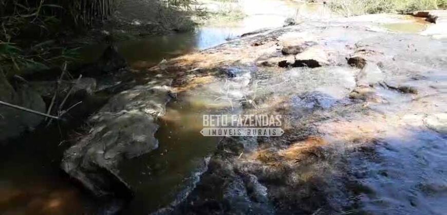 Fazenda à venda 42 alqueires Toda Pronta em Curato | Conceição de Macabu/ RJ