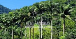 Expetacular Hotel Fazenda Eco e Resort à Venda 96 hectares | Macaé/RJ