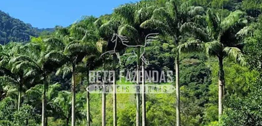 Expetacular Hotel Fazenda Eco e Resort à Venda 96 hectares | Macaé/RJ