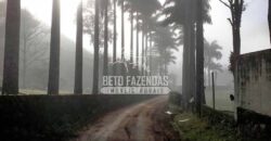 Expetacular Hotel Fazenda Eco e Resort à Venda 96 hectares | Macaé/RJ