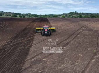 Venda de Fazenda Produtiva 1.678 hectares | Ribeirão Cascalheira/MT