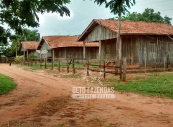 Venda de Fazenda 750 Alqueires Pecuária e Lavoura | Sao Miguel Arcanjo/ SP