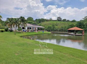 Fazenda à venda 407 alqueires Produtiva | São Miguel do Passa Quatro/ GO