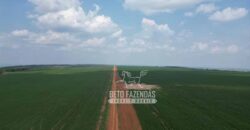 Oportunidade Única! Fazenda Produtiva 2.436 ha | Nova Mutum/MT