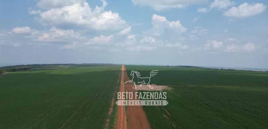 Oportunidade Única! Fazenda Produtiva 2.436 ha | Nova Mutum/MT