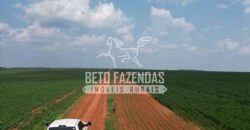 Oportunidade Única! Fazenda Produtiva 2.436 ha | Nova Mutum/MT