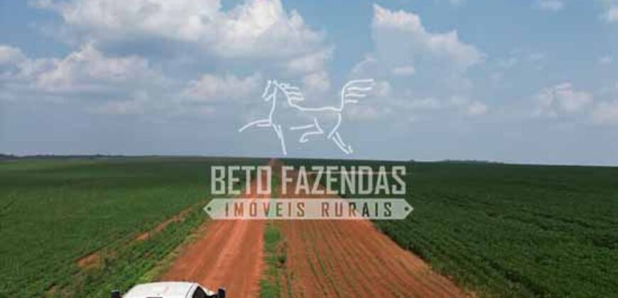 Oportunidade Única! Fazenda Produtiva 2.436 ha | Nova Mutum/MT