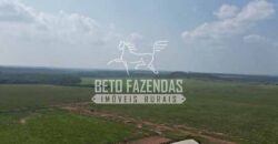 Oportunidade Única! Fazenda Produtiva 2.436 ha | Nova Mutum/MT