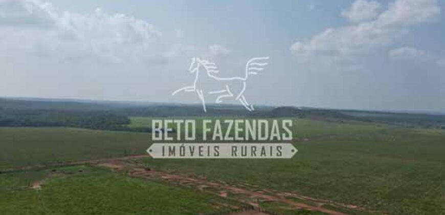 Oportunidade Única! Fazenda Produtiva 2.436 ha | Nova Mutum/MT