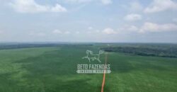 Oportunidade Única! Fazenda Produtiva 2.436 ha | Nova Mutum/MT