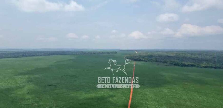 Oportunidade Única! Fazenda Produtiva 2.436 ha | Nova Mutum/MT