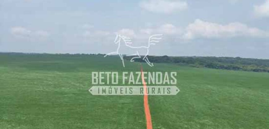 Oportunidade Única! Fazenda Produtiva 2.436 ha | Nova Mutum/MT