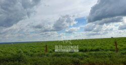 Oportunidade Única! Fazenda Produtiva 2.436 ha | Nova Mutum/MT