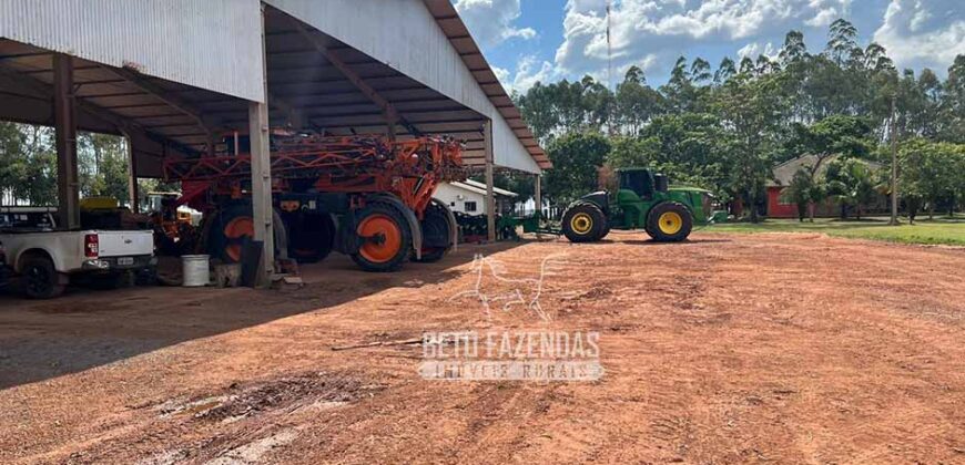 Oportunidade Única! Fazenda Produtiva 2.436 ha | Nova Mutum/MT