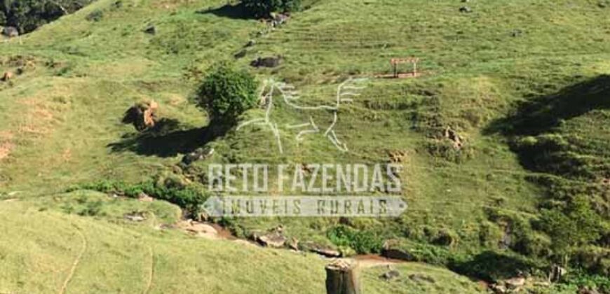 Fazenda à Venda 38 Alqueires em Manoel de Moraes | Sta. Maria Madalena/RJ