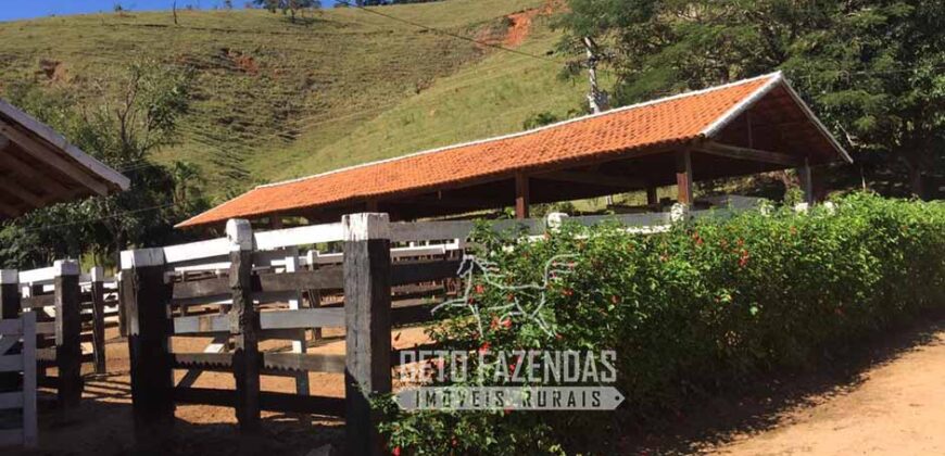 Fazenda à Venda 38 Alqueires em Manoel de Moraes | Sta. Maria Madalena/RJ