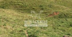 Fazenda à Venda 38 Alqueires em Manoel de Moraes | Sta. Maria Madalena/RJ