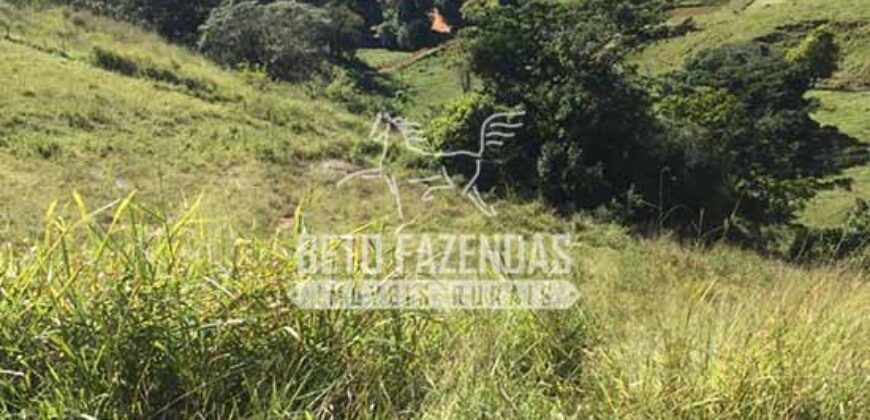 Fazenda à Venda 38 Alqueires em Manoel de Moraes | Sta. Maria Madalena/RJ